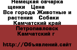 Немецкая овчарка щенки › Цена ­ 20 000 - Все города Животные и растения » Собаки   . Камчатский край,Петропавловск-Камчатский г.